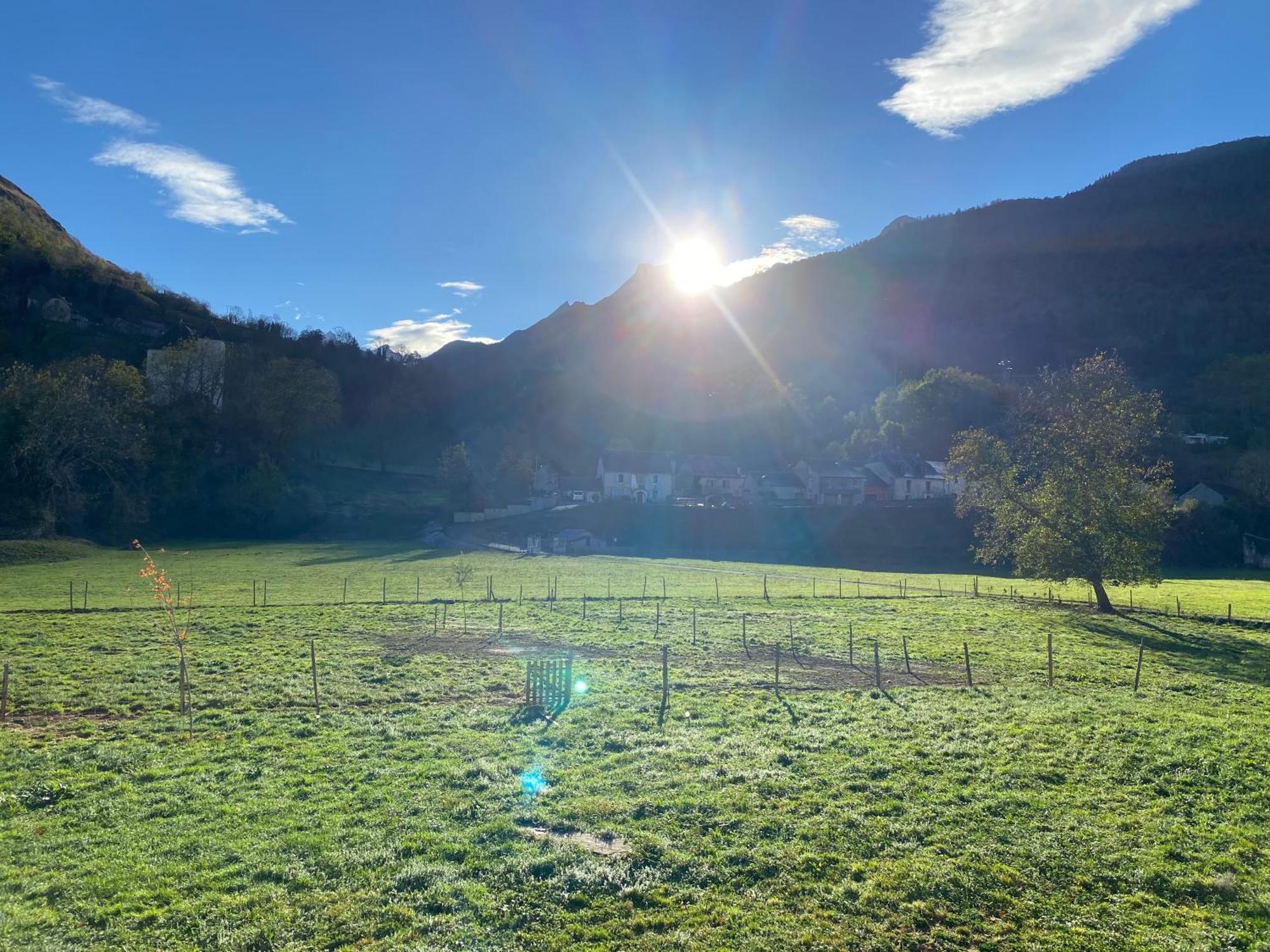 Au Bord Du Gave Apartment Laruns Exterior foto